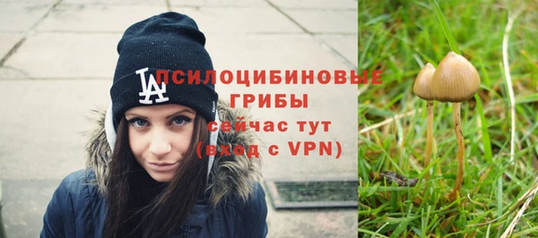 спайс Абинск