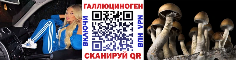 Галлюциногенные грибы мицелий как найти закладки Балаково