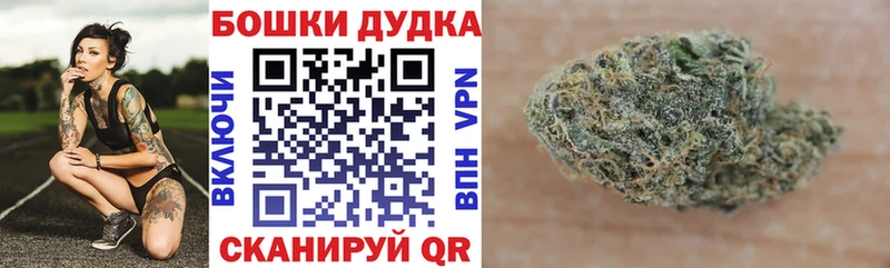 даркнет сайт  Балаково  Шишки марихуана план 